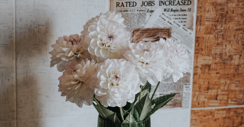 愛されているか試す人 うみりん note