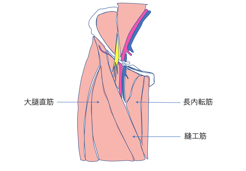 体軸内回旋動作を考える ママセラピストが考える発達過程と臨床の繋がりpart４ 脳外ブログ 臨床baton Note