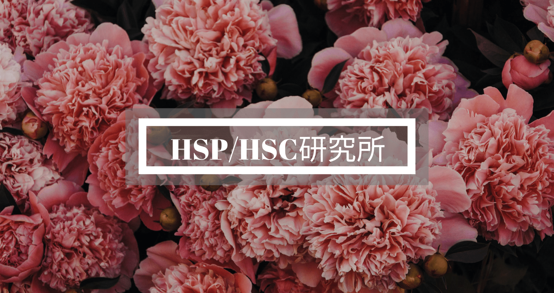 HSP／HSC研究所