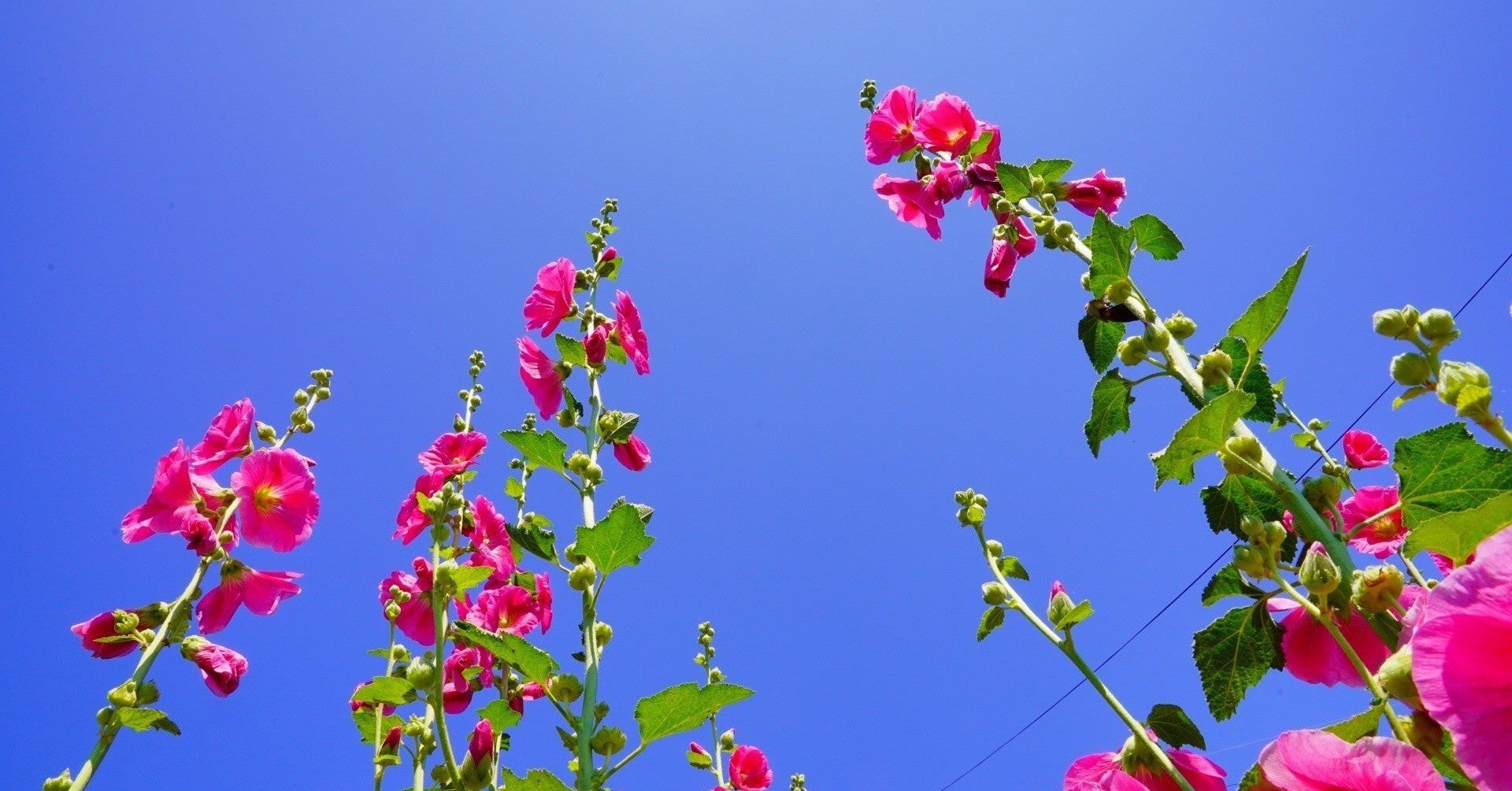 声が低い 女の話 Rina Note 声が低い 女の話 Rina Note