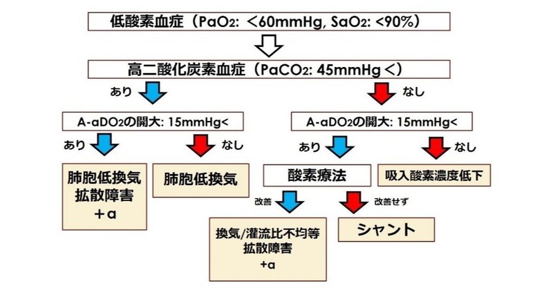 Co2 ナルコーシス 症状