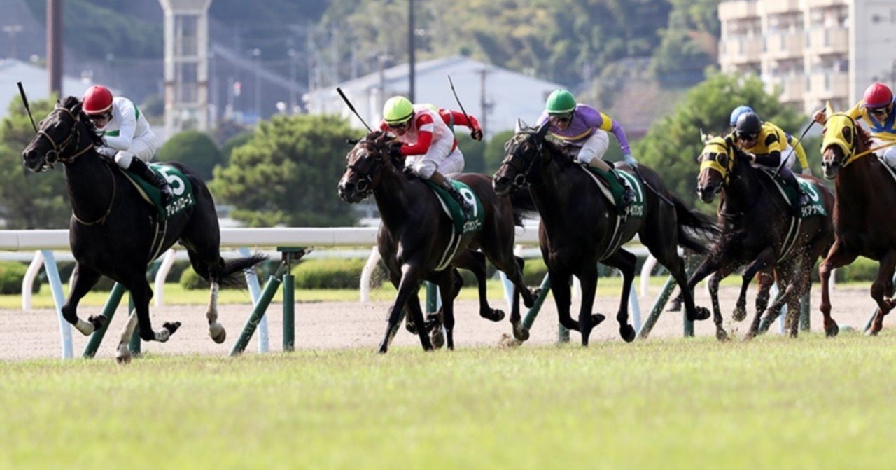 北九州記念本命 対抗 穴馬 ヒシミラクル Note