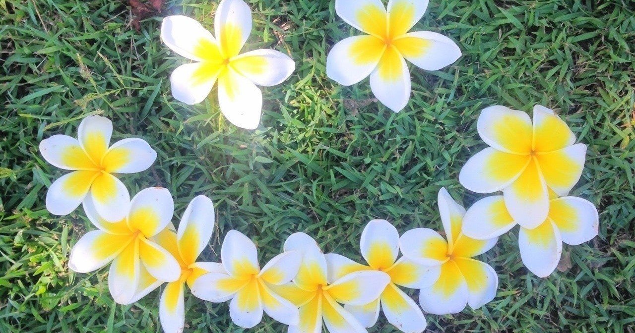 通りすがりの老け顔な中学生から得た気付き Ahiraga Note