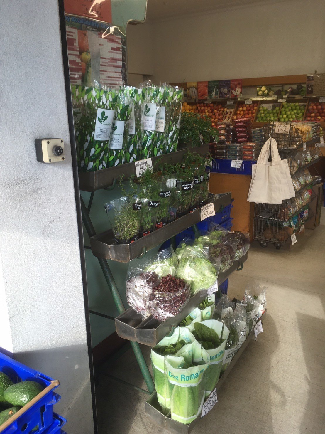 オークランド ニュージーランド のハーブたち ハーブおじさん Note オークランド ニュージーランド のハーブたち ハーブおじさん Note