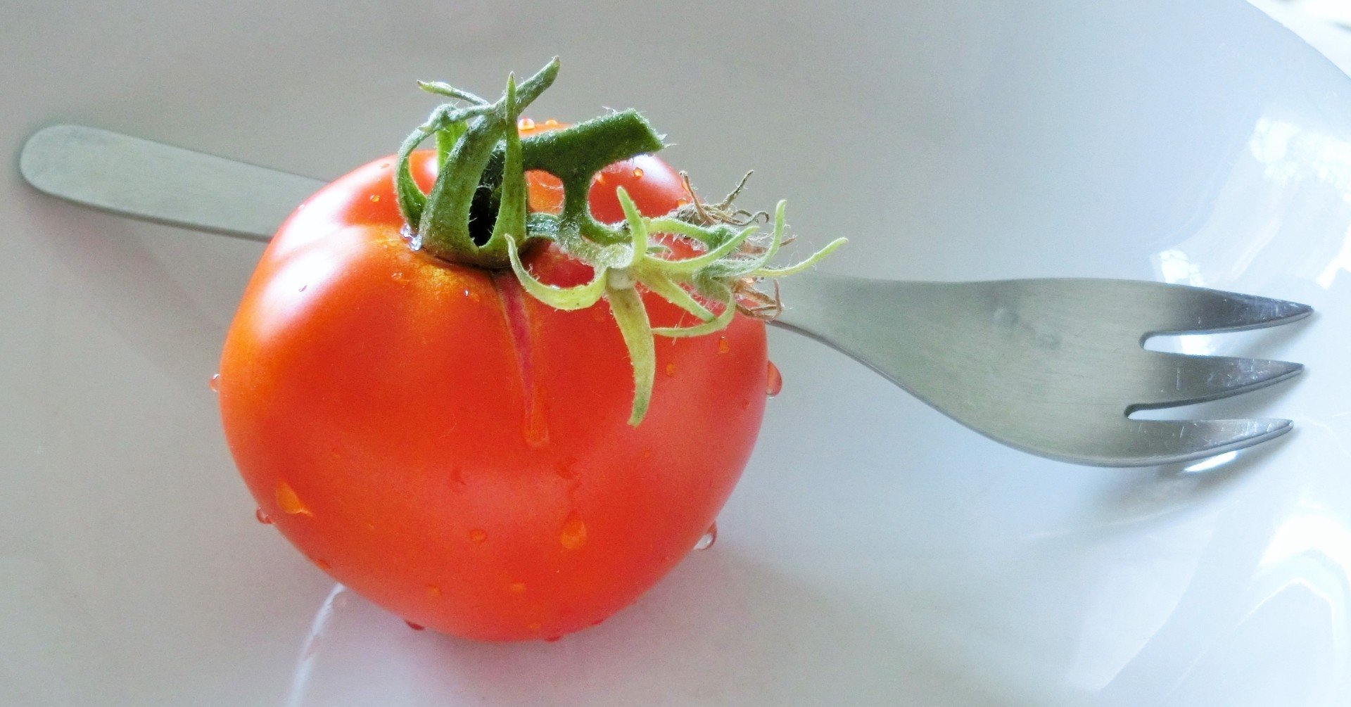 はじめてのトマト栽培 トマトの凛々子 なかむら詩子 Note