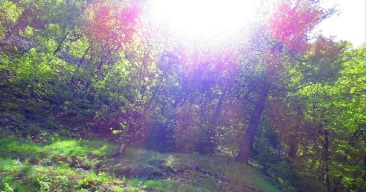 臨床心理士がスピリチュアルカウンセリングに行った話 なた 臨床心理士 Note 臨床心理士がスピリチュアルカウンセリングに行った話 なた 臨床心理士 Note