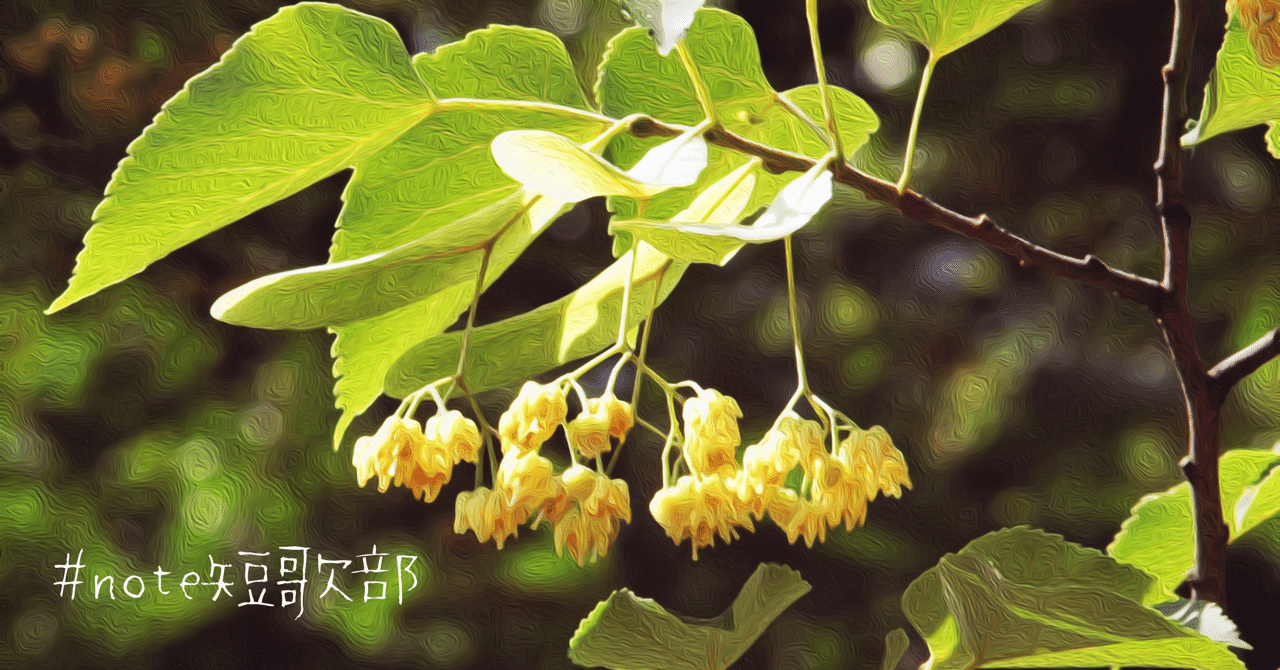 短歌 8月23日 誕生花は菩提樹 Note短歌部 御子柴 流歌 Note