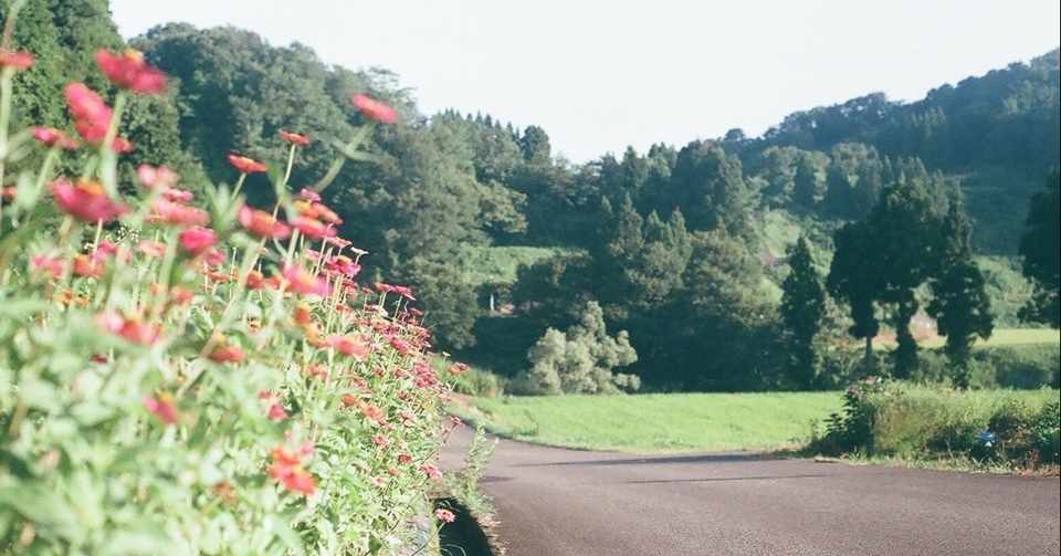 草木国土悉皆成仏 そうもくこくどしっかいじょうぶつ All Things Have The Buddha Nature 北林 功 Isao Kitabayashi Note