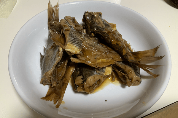 海タナゴ の新着タグ記事一覧 Note つくる つながる とどける 海タナゴ の新着タグ記事一覧 Note つくる つながる とどける