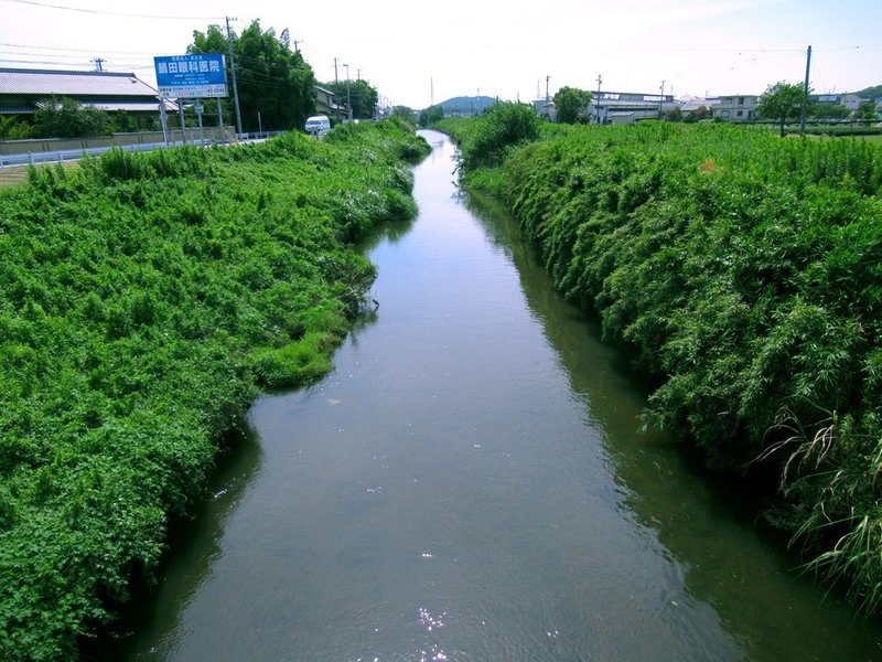 16安藤川(中島町)