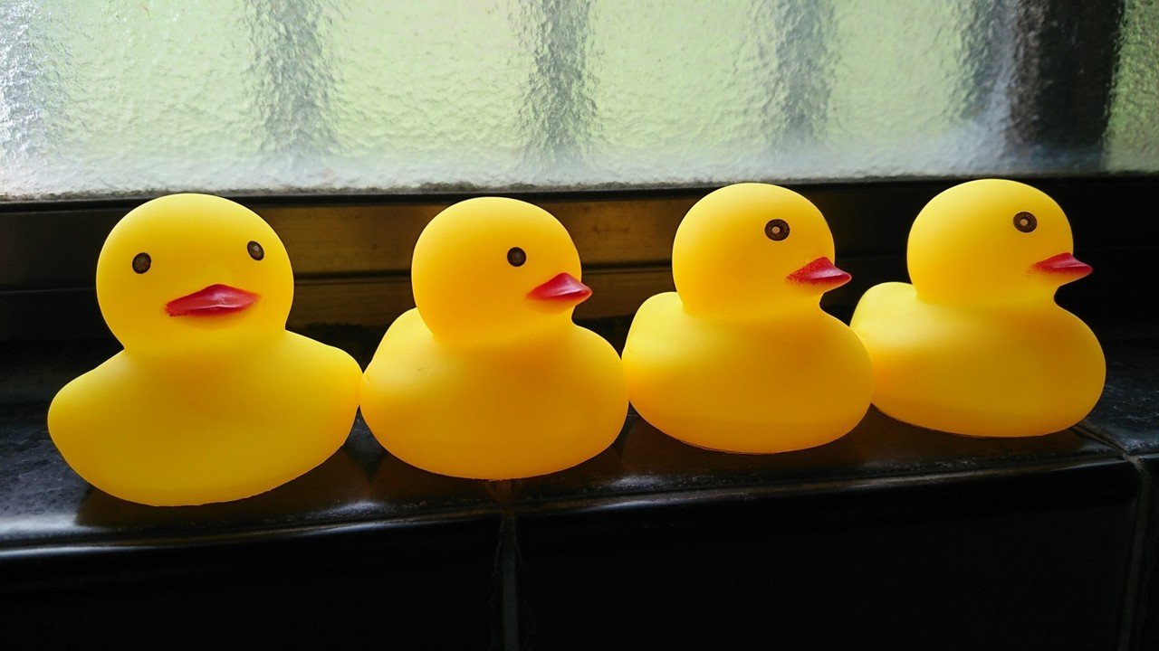 お風呂のひよこさん 長谷川 晃子 Happiness Music St Note