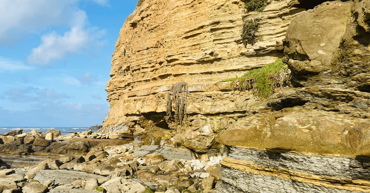 地層を見に行って 自分の住んでいる所の大地の記録を確かめよう ぷーあるちゃ Note