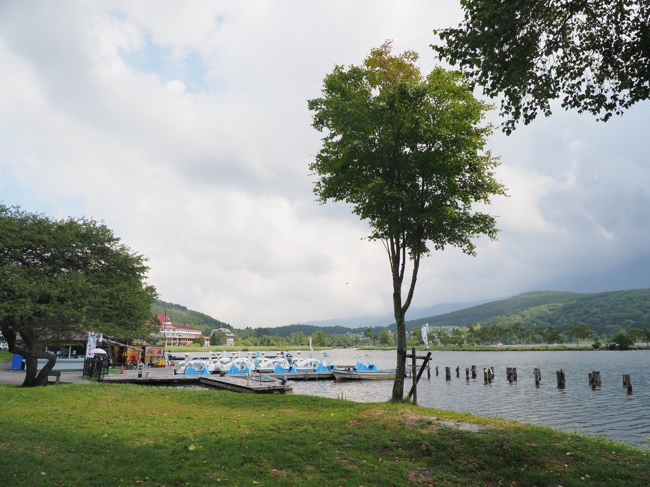 ワンちゃんと出掛ける 夏 白樺湖 西側｜Kazuyuzu