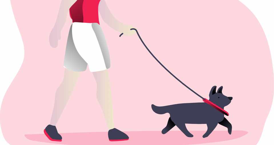 便利グッズ 水飲みボトル いぬの旅 ペットと海外旅行 Note