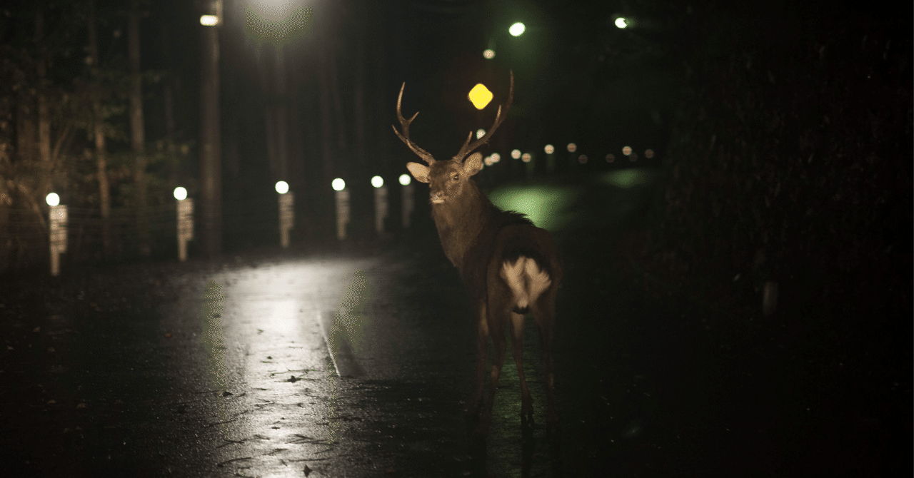 夜の鹿 の新着タグ記事一覧 Note つくる つながる とどける
