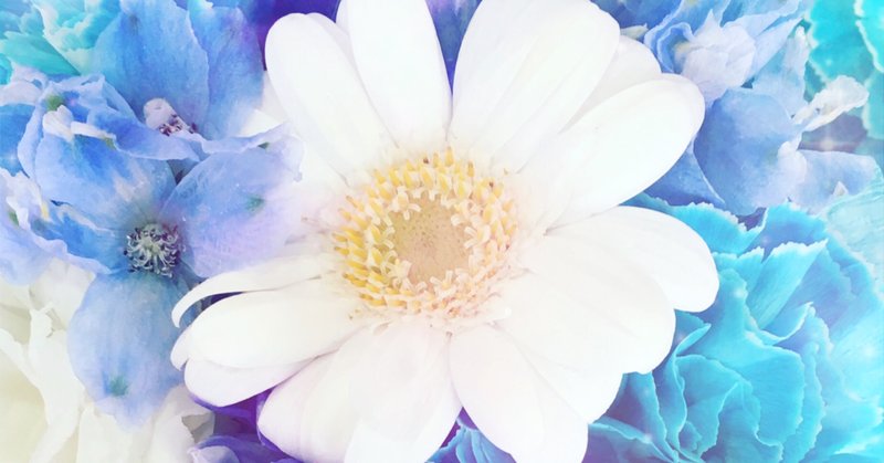 ウォレスとグルミット の新着タグ記事一覧 Note つくる つながる とどける