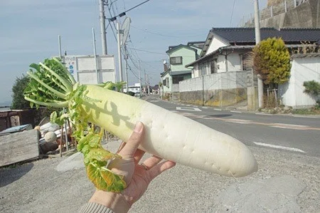 画像34