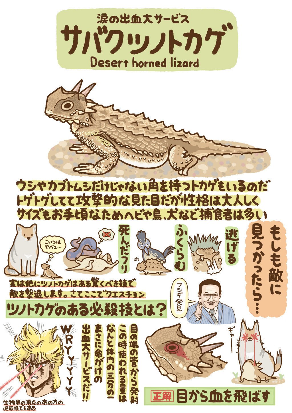 いきもの図鑑 イラスト 高橋のぞむ Note