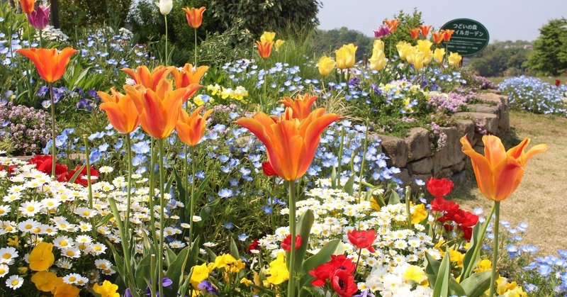 赤ちゃんの名前に季節や花の名前はよくない タカミ 方位学 タロット Note