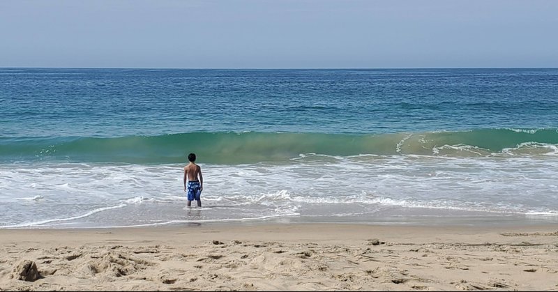 海は楽しいよ 誰が何と言おうと ーcrystal Cove 山上明子 Note 海は楽しいよ 誰が何と言おうと ーcrystal Cove 山上明子 Note