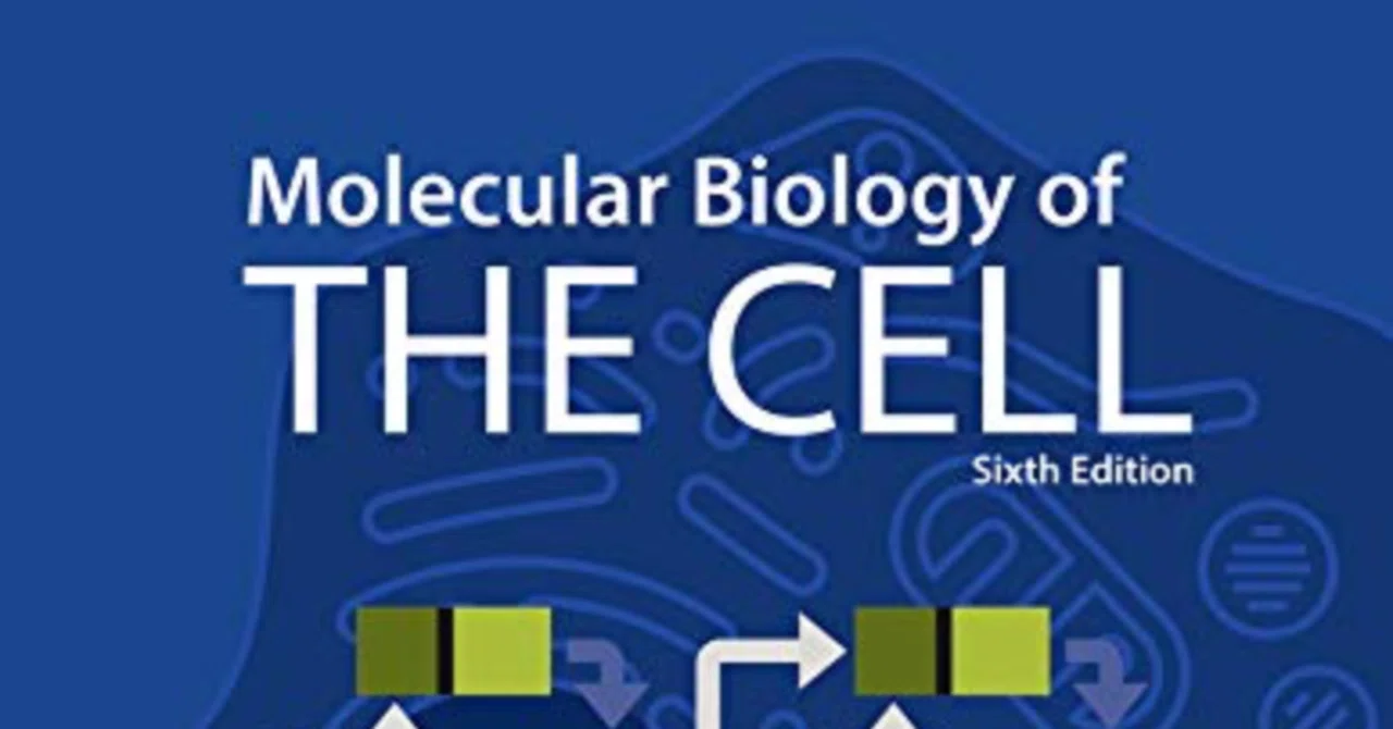 The Cell まとめノート#0 本記事のあらすじ、もくじ｜鈴華書記（Writer