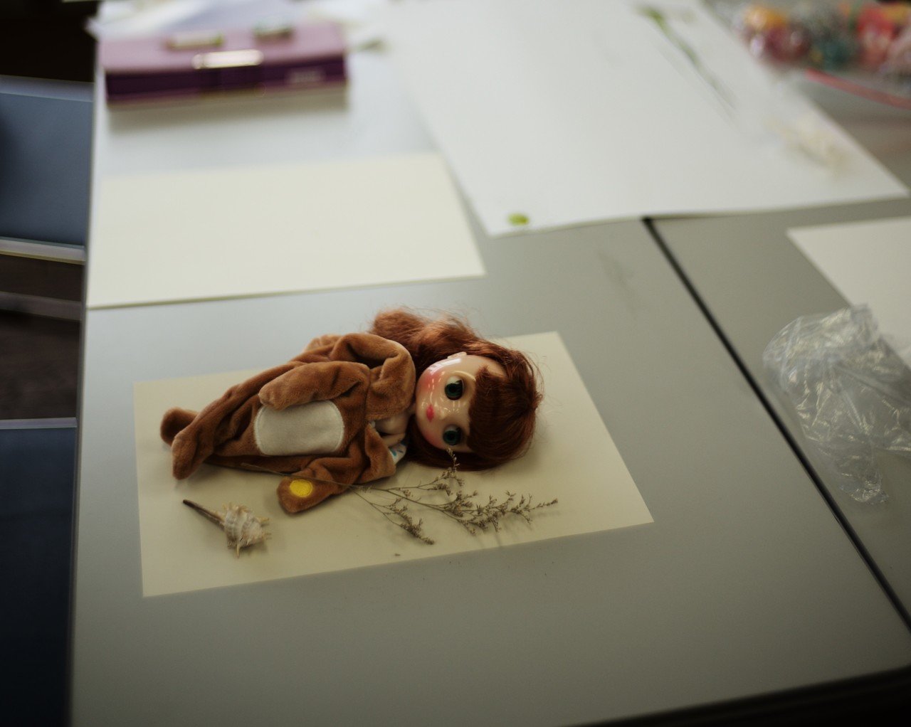 開催終了 感光紙からつくって写真の原理を体験 フォトグラムワークショップ 調布市文化会館たづくり Shunya Asami Note Note 開催終了 感光紙からつくって写真の原理を体験 フォトグラムワークショップ 調布市文化会館たづくり Shunya Asami Note Note