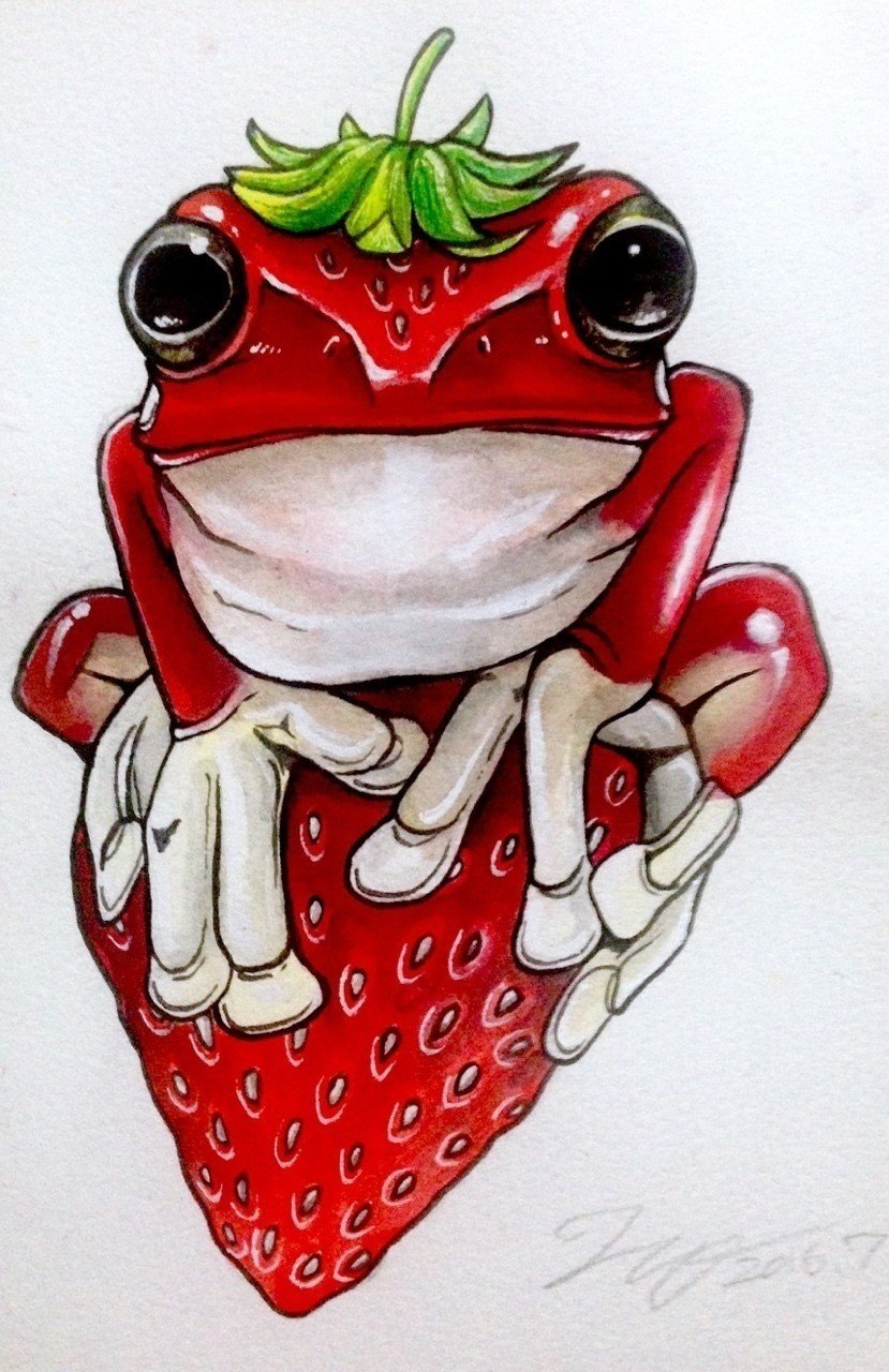 イチゴガエル 苺乗りver 引田玲雄 Reo Hikita Note