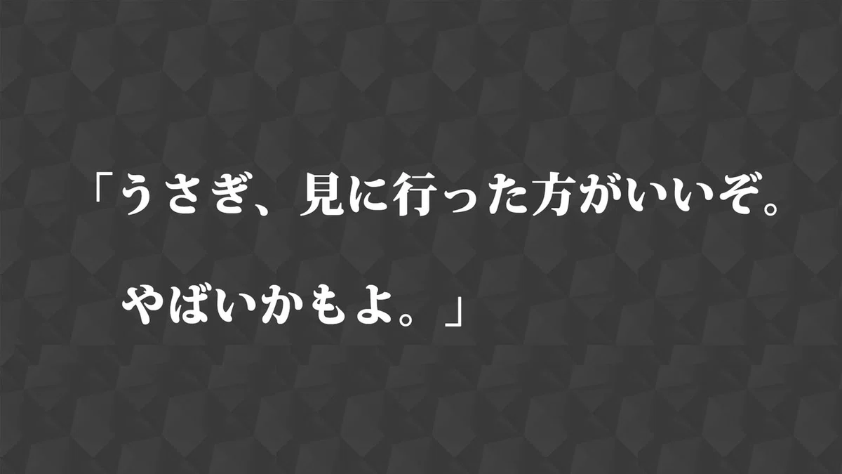 画像13