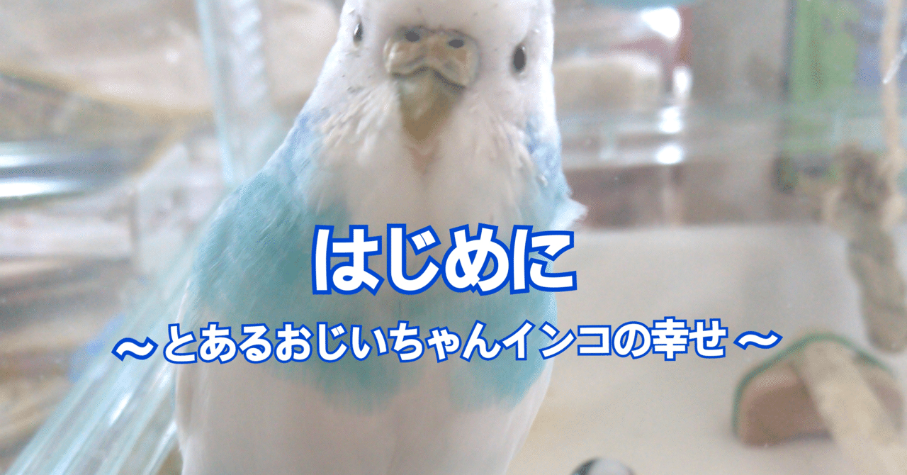 はじめに とあるおじいちゃんインコの幸せ はち Note