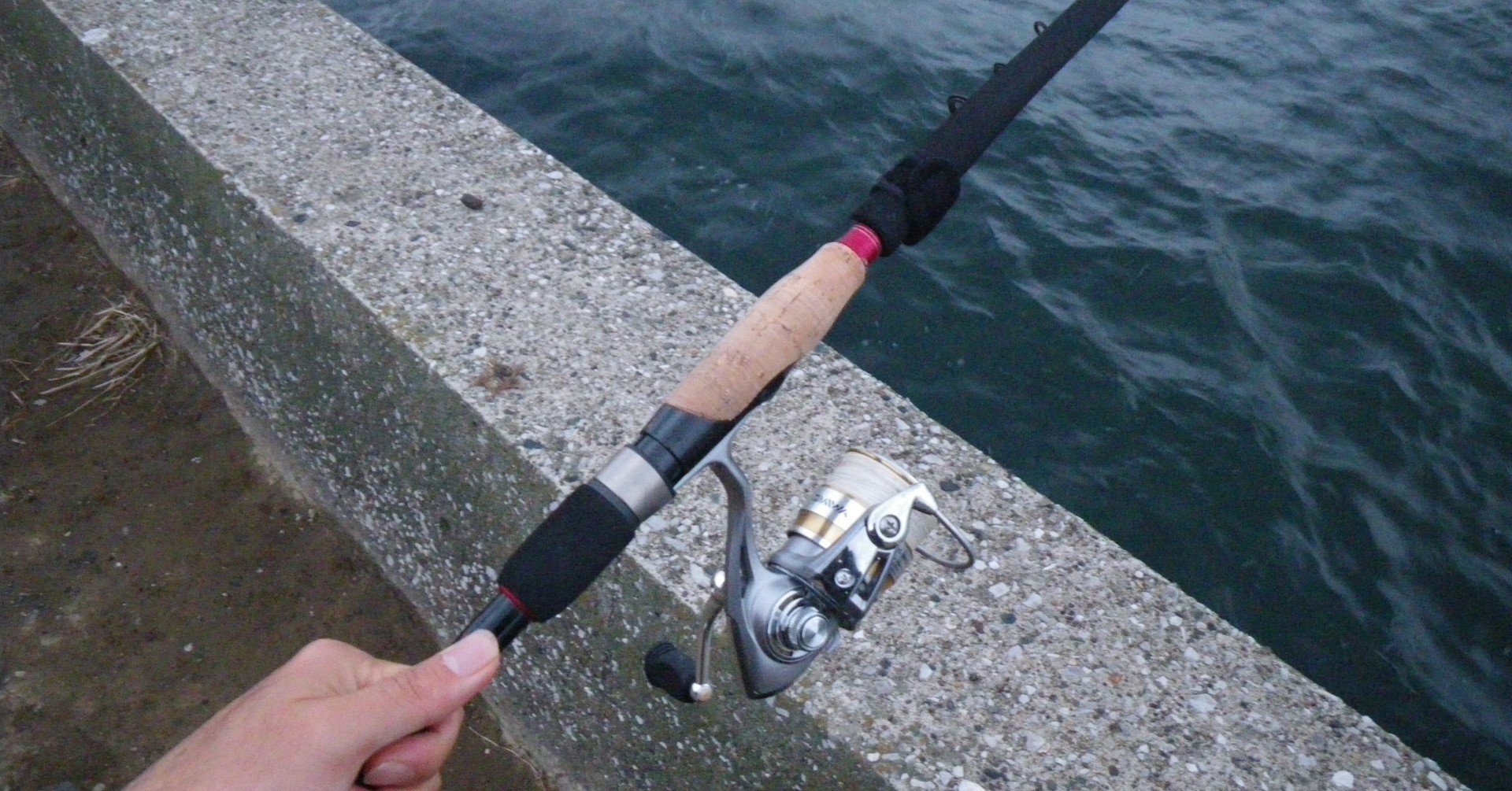 防波堤からゆるゆるとアナゴの夜釣り 千葉某所 玉置標本 Note 防波堤からゆるゆるとアナゴの夜釣り 千葉某所 玉置標本 Note