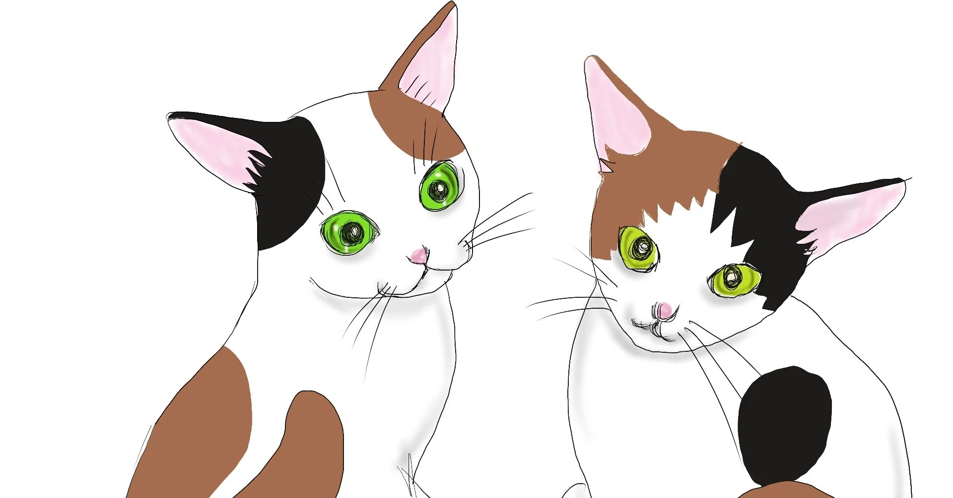 ねこすけさん西へ東へ」｜catballer｜note