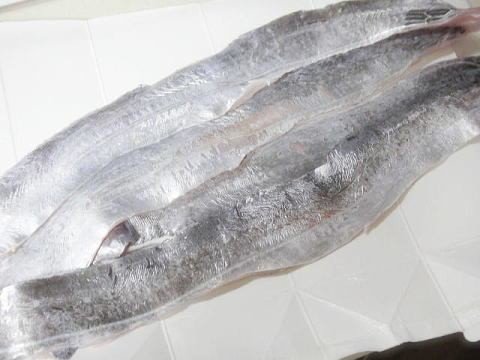 太刀魚2