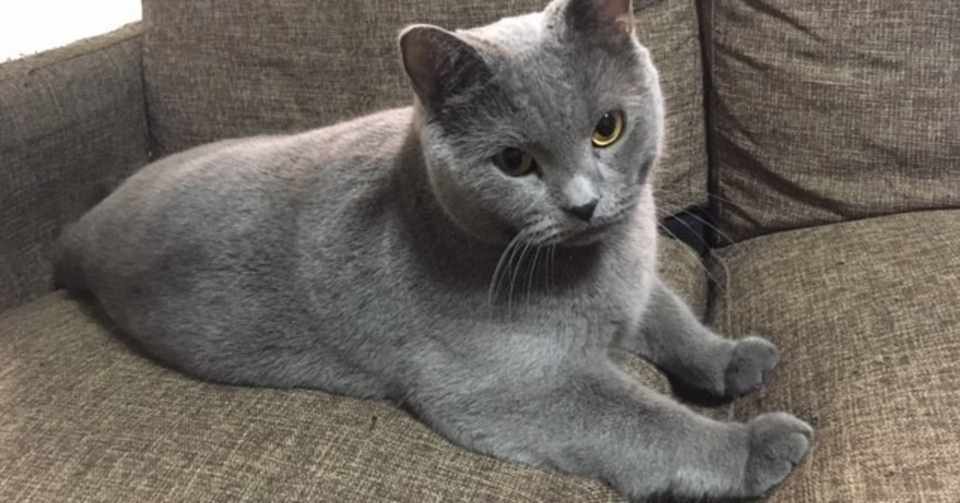 もっと他人に興味を持って と言われた時の話 みつば行政書士事務所 Note