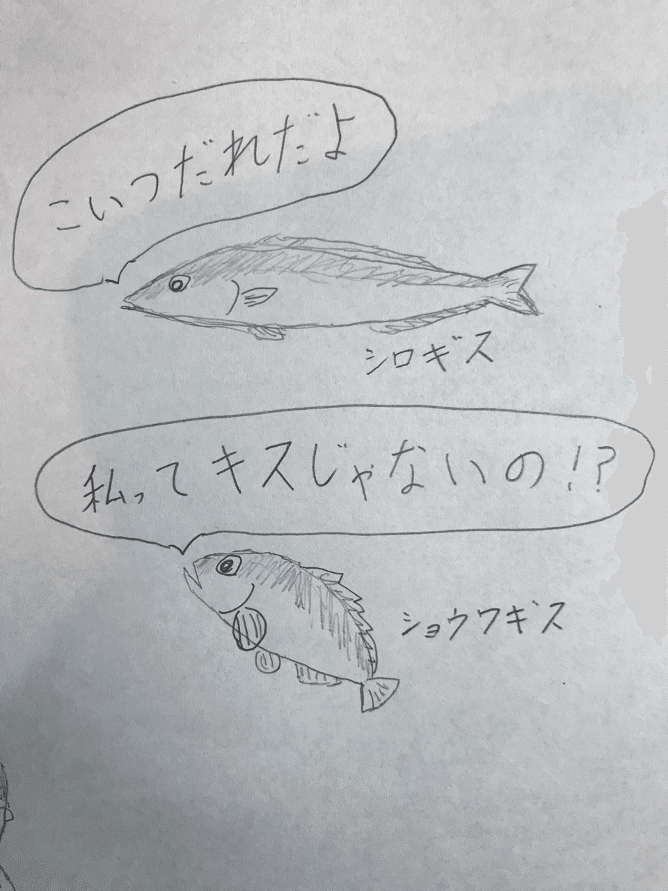 南極に住む昭和なキス 釣り 山阿呆の大学生 Note