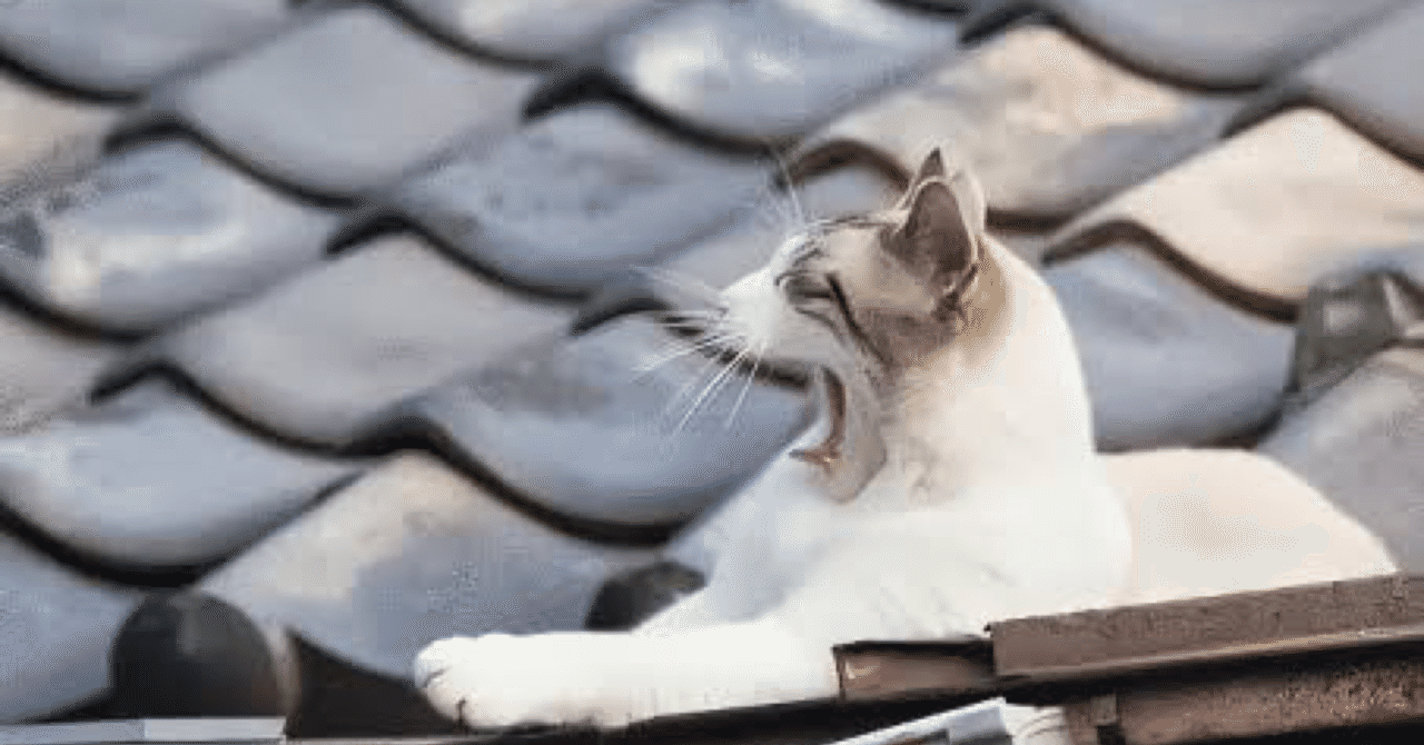 屋根の上で猫と昼寝 まいふな 勝手にコラム 簡単で散漫な演説 Note 屋根の上で猫と昼寝 まいふな 勝手にコラム 簡単で散漫な演説 Note