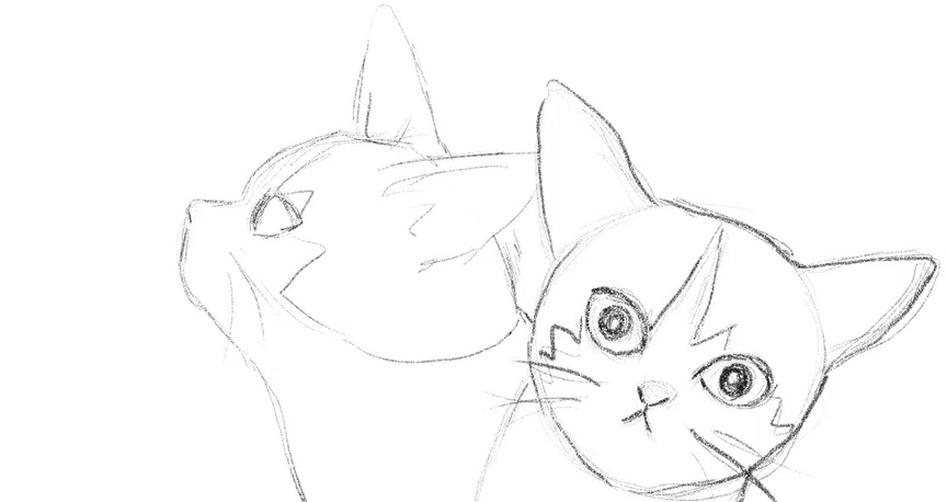 ねこすけさん西へ東へ」｜catballer｜note