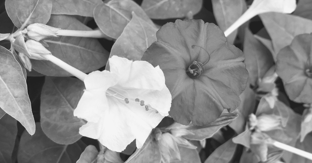 障害グレーゾーンの一般就労が搾取に近づくとき｜かんもくの声