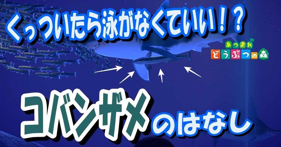 あつ森から学ぶ生物の話 頭の吸盤でくっつく コバンザメのメリット４つ 緑木リョク Note