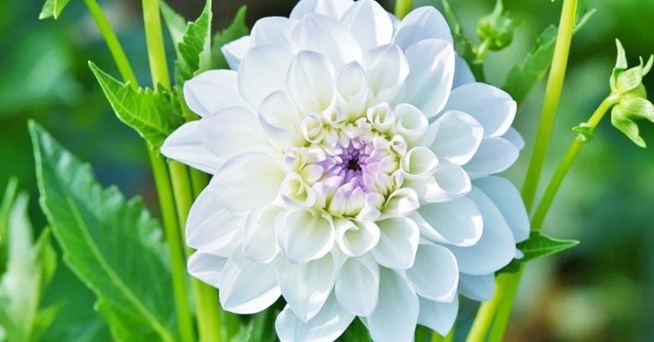 hsp hsc 人一倍敏感な子供は怖い映画とかテレビが苦手 hsp専門心理カウンセラー じゅんさん note