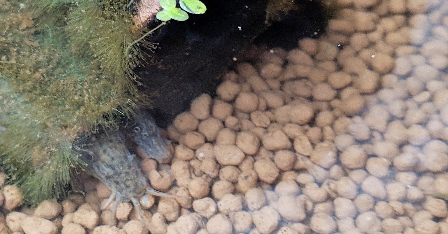 水槽立ち上げ ３ 道具の準備 町田 奈桜 Nao Machida Note