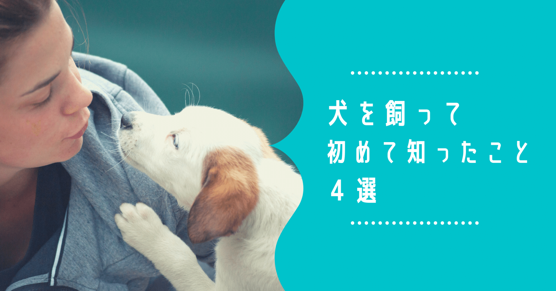 元犬嫌いが犬を飼って初めて知ったこと しいのき Webデザイナー Note