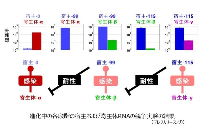 実験結果