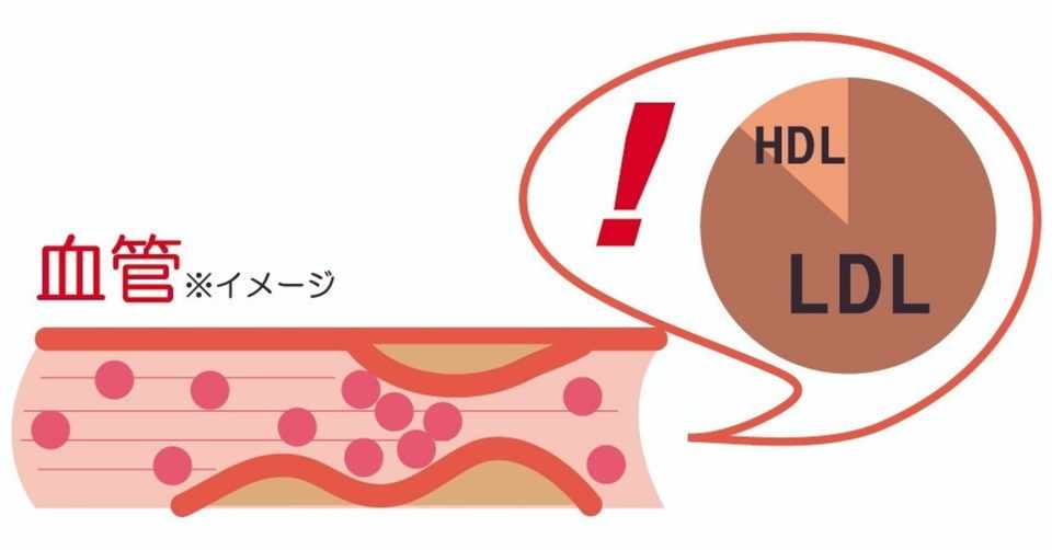 脂質異常症の食事と運動療法 Yokoito イラスト Note