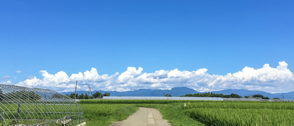 スクリーンショット 2020-08-25 14.16.02