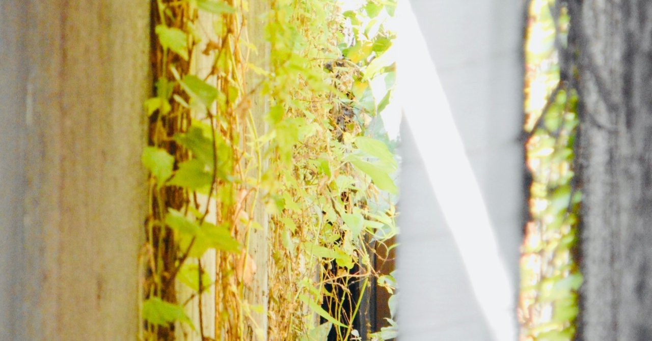 言葉を考える 守ってあげたい の危険性 おちまこと note