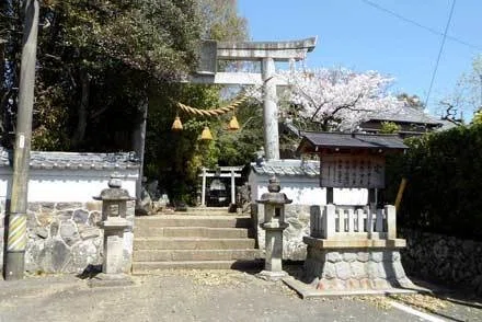 画像6