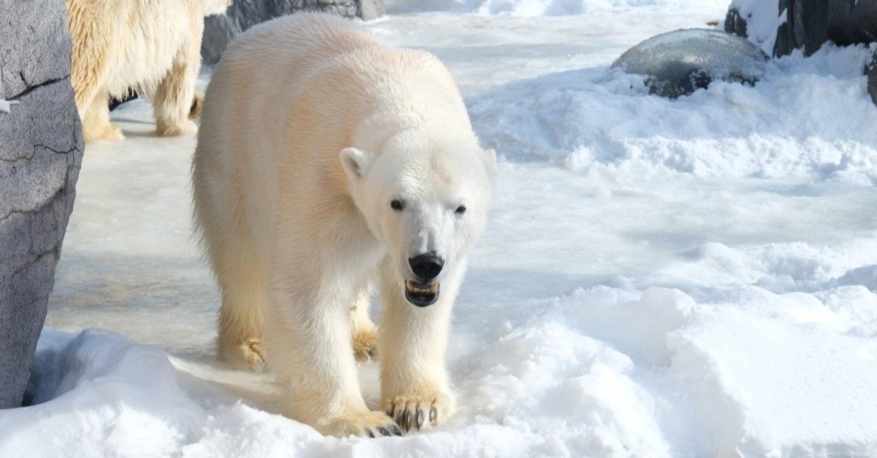 安い旭川のホテル 美味しい朝ごはんが評判 Miyaco Note