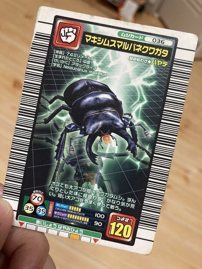 私とムシキングとn君 レムラ Note