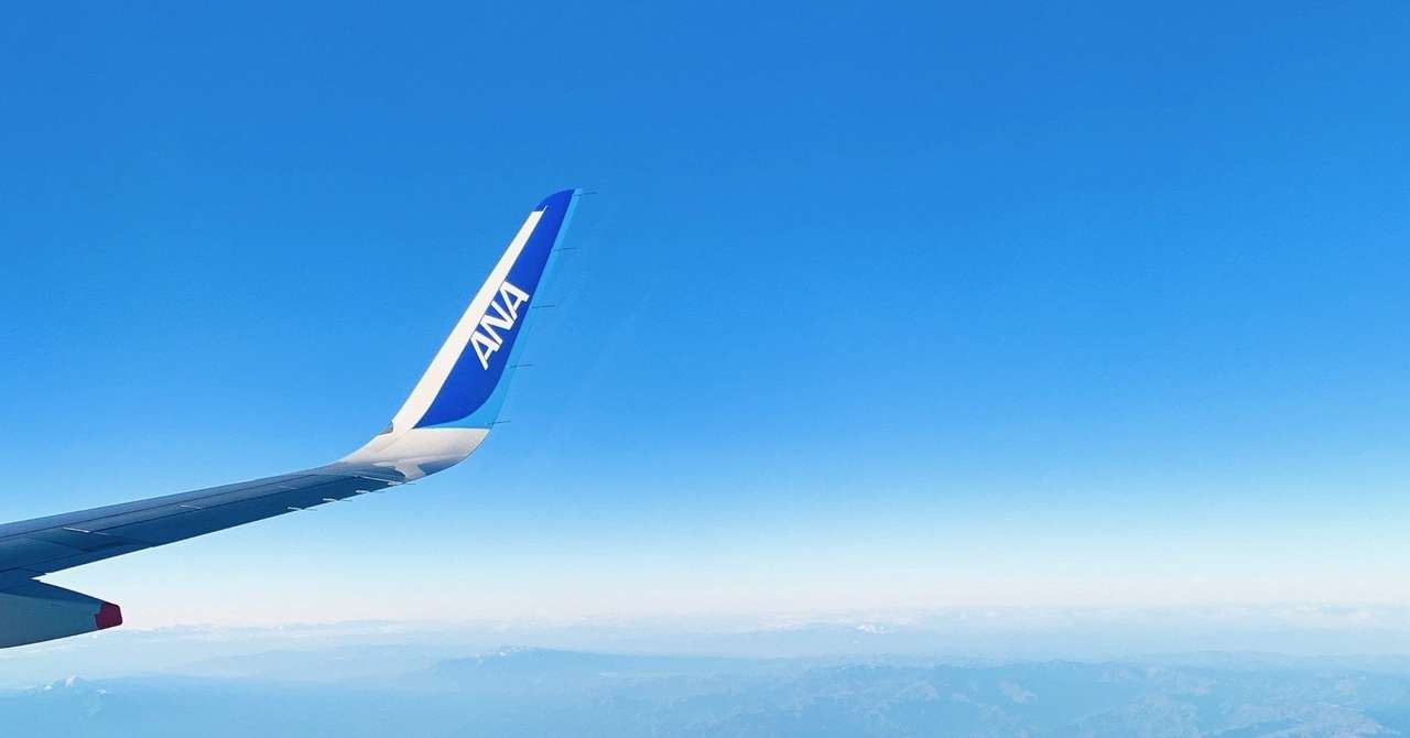 第３弾決定 Ana ウミガメ がチャーターフライトで空へ フライングホヌ ホノルルではなく成田行き 10 13更新 添乗員さん 旅行情報局 Note
