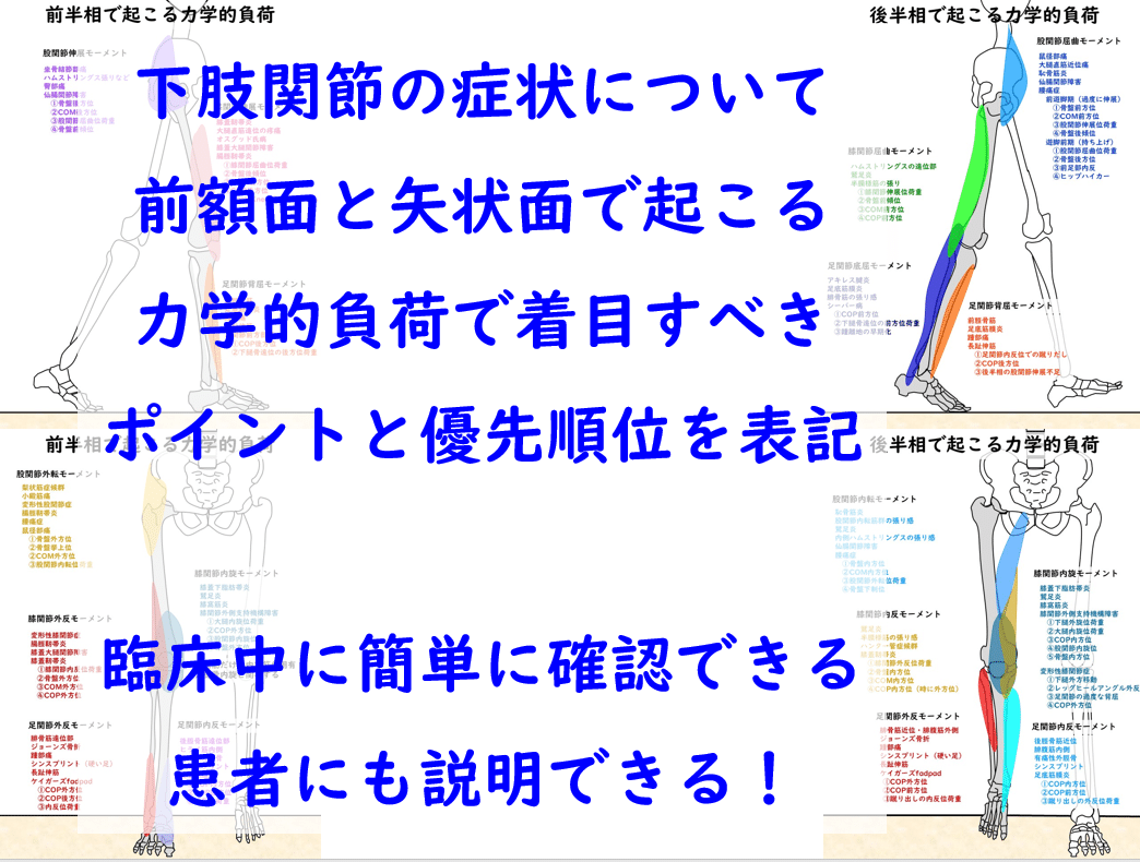 入谷誠の理学療法」から歩行の力学的負荷を4枚のイラストに集約